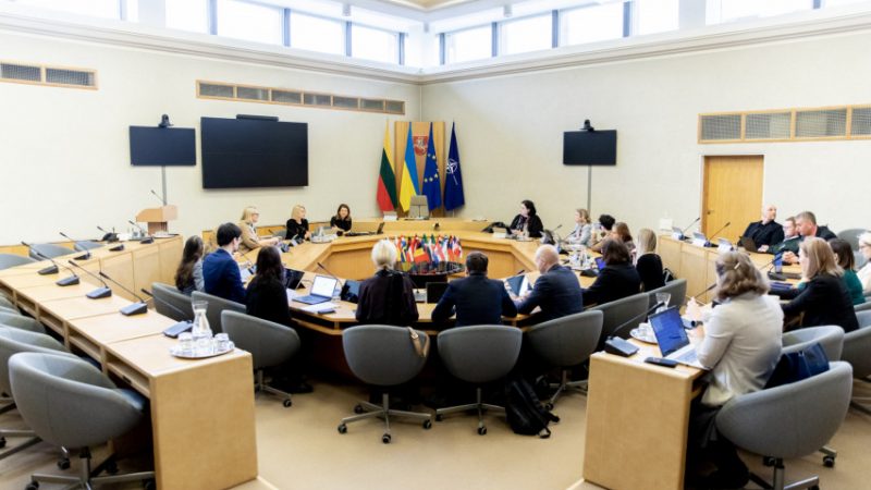 Kartu su NVO atstovais Vyriausybėje aptartos Jungtinių Tautų rekomendacijos Lietuvai žmogaus teisių srityje 