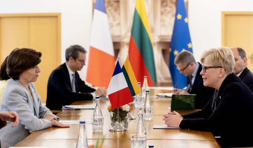 Premjerė susitiko su Prancūzijos Europos ir užsienio reikalų ministre