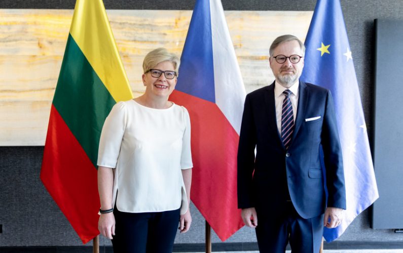 Čekijoje viešinti Ministrė Pirmininkė susitiko su šalies Ministru Pirmininku Petru Fiala