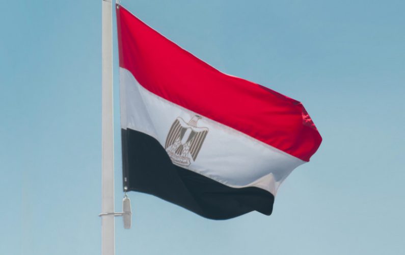 Premjerė pasveikino Egiptą nacionalinės dienos proga 