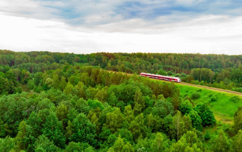 Spartinant „Rail Balticos“ projektą Lenkijos sienos link ruošiama teritorija statyboms