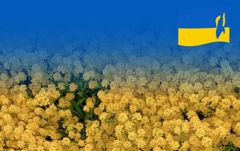 Lietuva programai „Grūdai iš Ukrainos“ skiria 2 mln