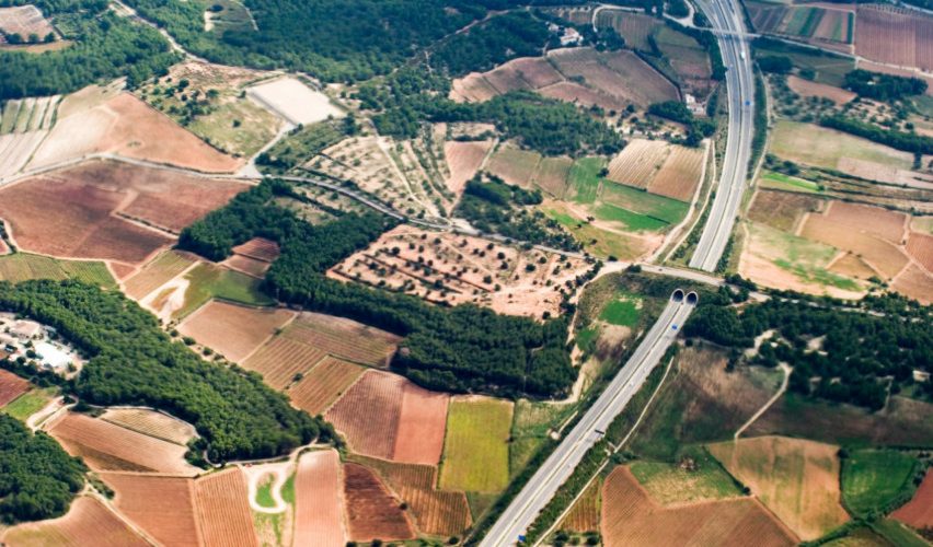 Nustatytos aiškesnės valstybinės žemės perdavimo savivaldybėms taisyklės