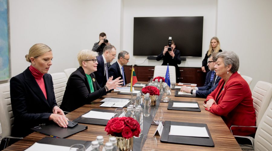 Premjerė aptarė ES saugumo ir atsparumo grėsmėms klausimus su eurokomisare Ylva Johansson