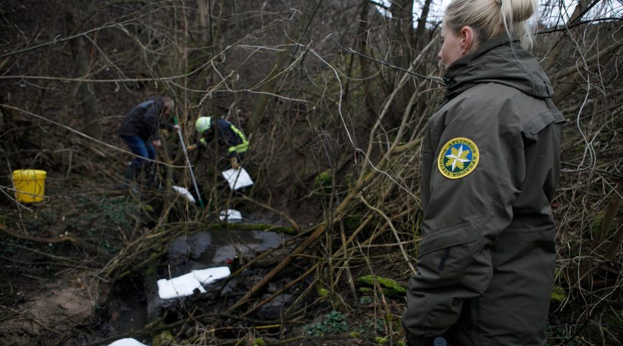Siūloma didinti baudas už žalą gamtai, konfiskuoti pažeidimo įrankius