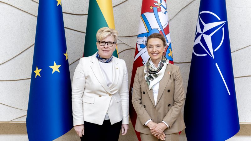 Su Europos Tarybos Generaline sekretore Premjerė aptarė Lietuvos pirmininkavimo ET Ministrų Komitetui prioritetus
