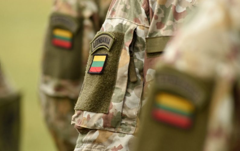 Ministrų kabinetas pritarė pėstininkų divizijos steigimui