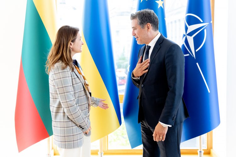 Vyriausybės kanclerės susitikime su Kosta Rikos užsienio prekybos ministru – dėmesys demokratijų solidarumui ir paramai Ukrainai