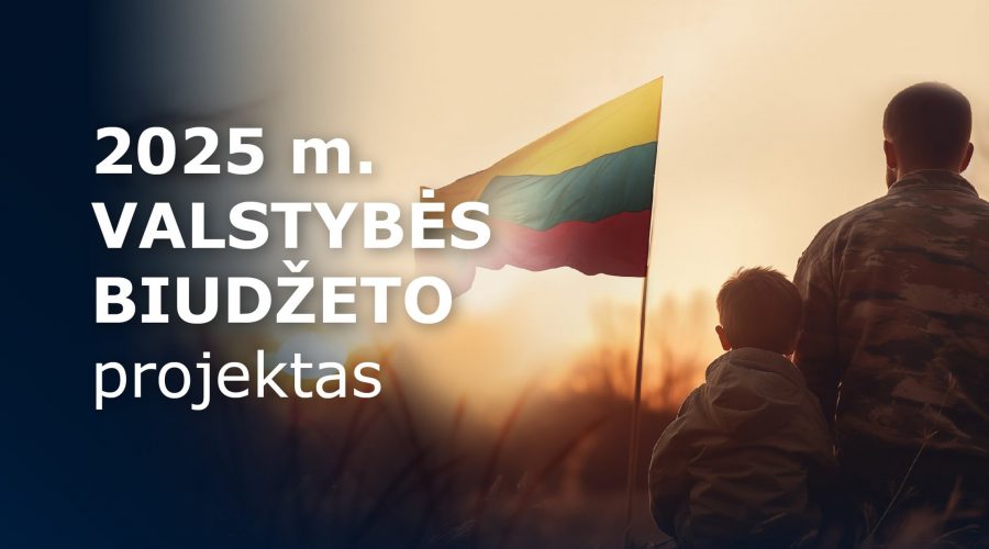 Vyriausybėje patvirtintas 2025 m