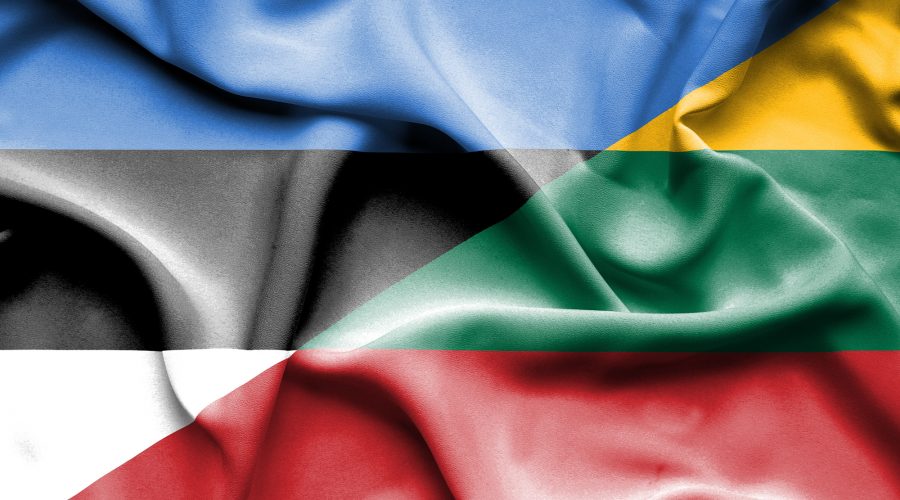 Premjeras pasveikino Nepriklausomybės dieną mininčią Estiją
