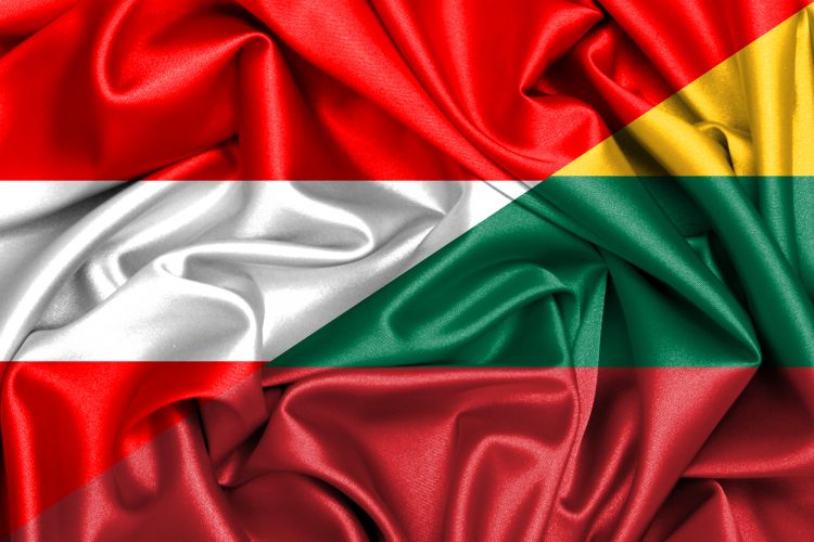 Premjeras pasveikino naująjį Austrijos Respublikos kanclerį