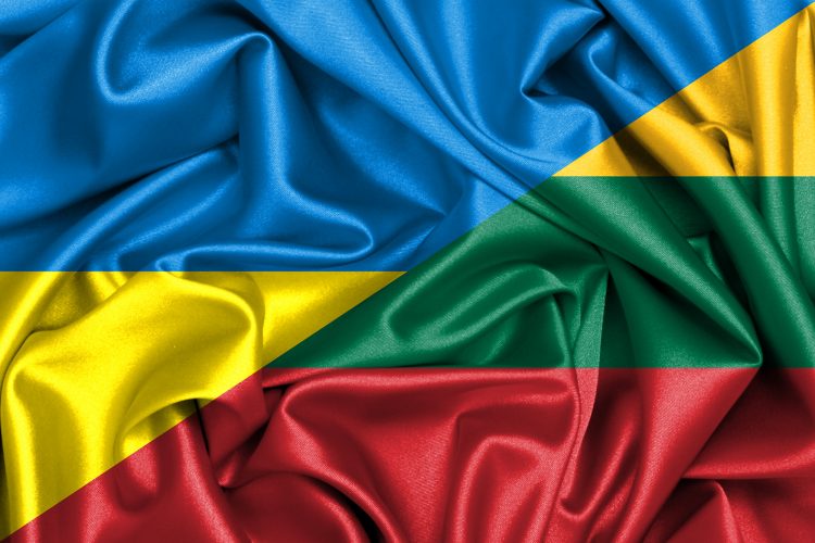 Premjeras pasveikino naująją Ukrainos Vyriausybės vadovę
