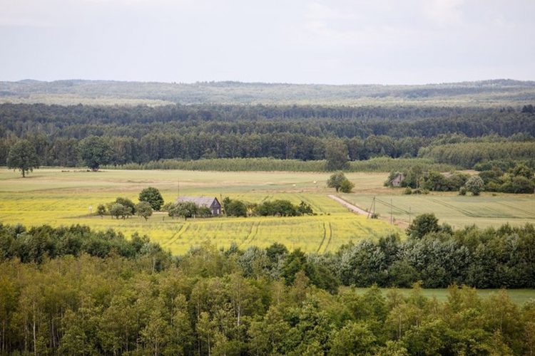 Vyriausybė pritarė siūlymui visą valstybinę žemę perduoti savivaldai