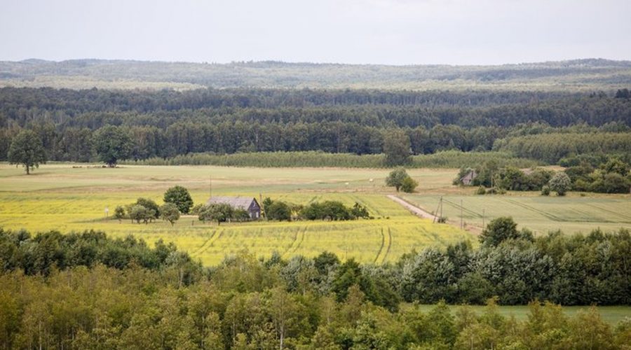 Vyriausybė pritarė siūlymui visą valstybinę žemę perduoti savivaldai