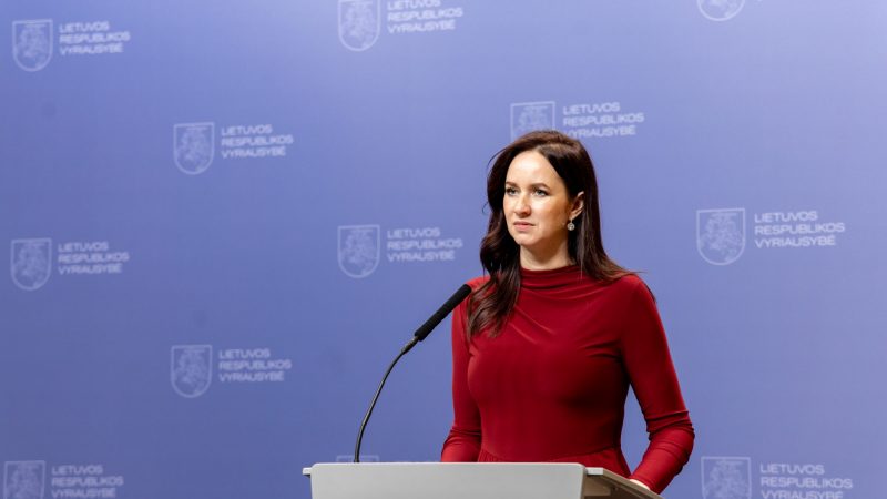Premjerė: biudžeto prioritetas – ir kiekvieno žmogaus, ir valstybės sienų saugumas