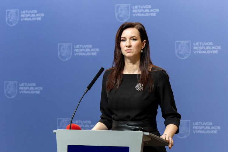 Premjerė pristatė Nacionalinio saugumo komisijos sprendimus