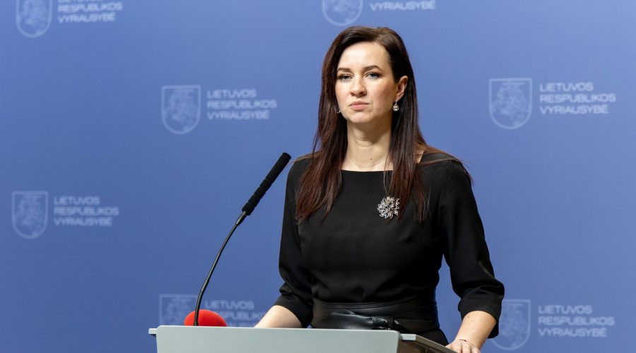 Premjerė pristatė Nacionalinio saugumo komisijos sprendimus