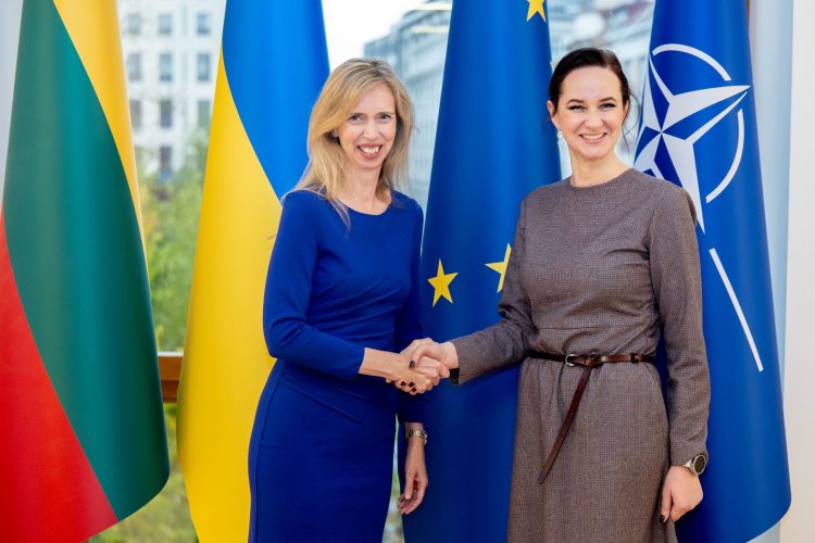 Susitikime su JAV ambasadore Premjerė pabrėžė JAV svarbą užtikrinant regiono saugumą Susitikime su JAV ambasadore Premjerė pabrėžė JAV svarbą užtikrinant regiono saugumą