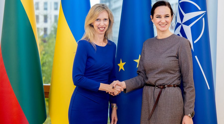 Susitikime su JAV ambasadore Premjerė pabrėžė JAV svarbą užtikrinant regiono saugumą