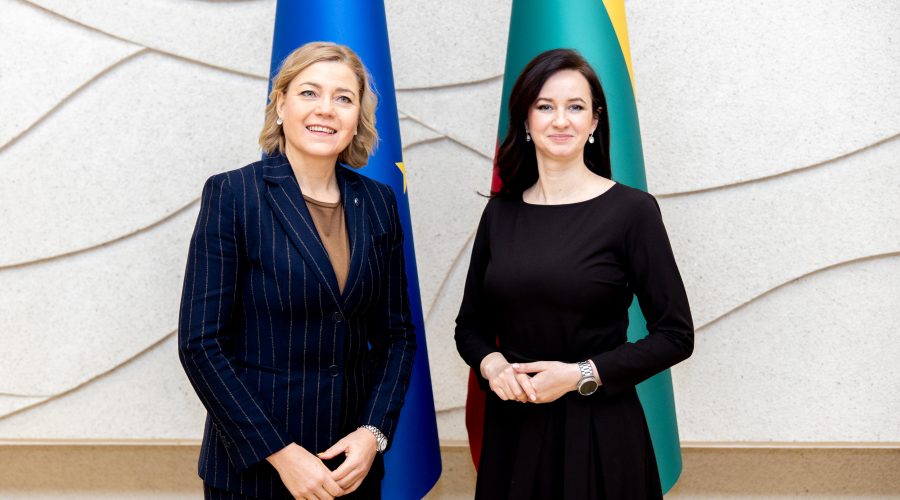 Premjerė aptarė ES atsaką į hibridines grėsmes su eurokomisare Henna Virkkunen