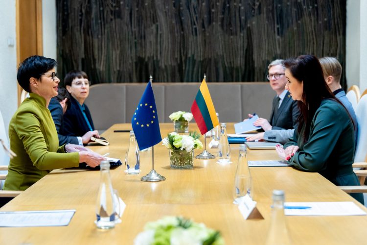 Premjerė susitiko su ES plėtros eurokomisare Marta Kos