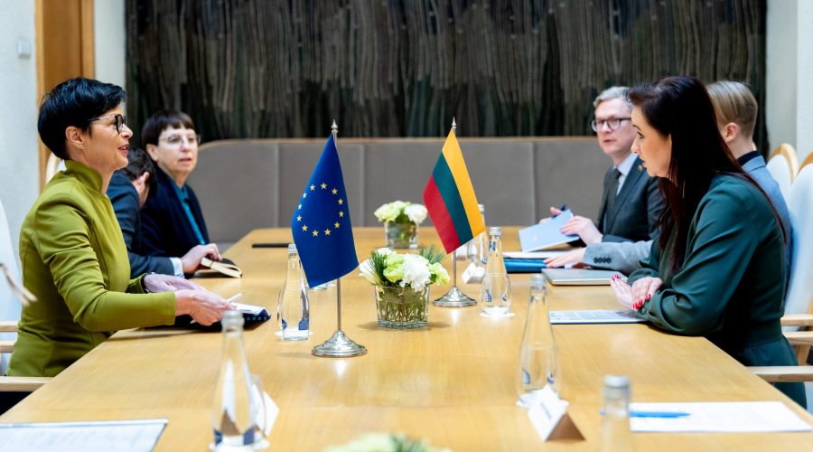 Premjerė susitiko su ES plėtros eurokomisare Marta Kos