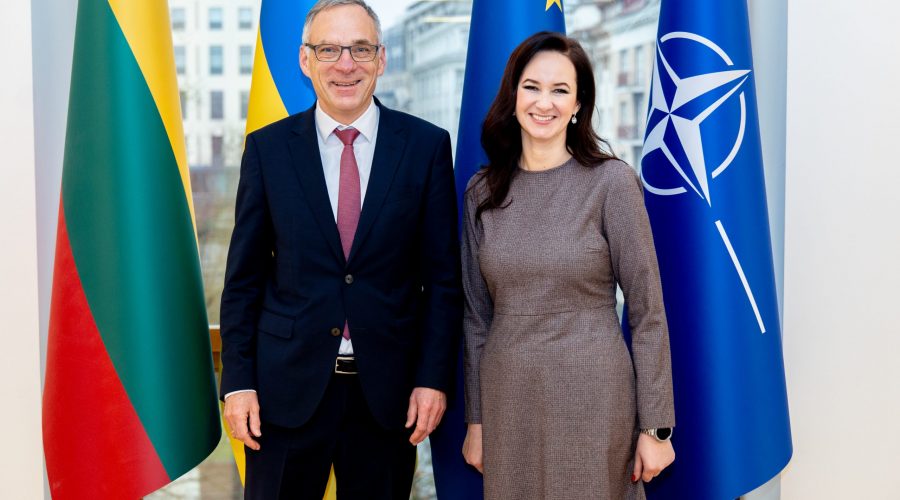 Premjerė susitiko su Vokietijos ambasadoriumi: vienybėje yra mūsų stiprybė