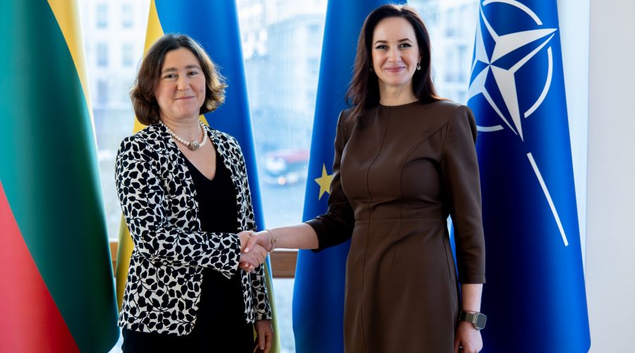 Premjerė susitiko su Prancūzijos ambasadore Lietuvoje