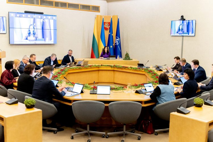 Vyriausybės darbai: žmogaus ir valstybės saugumui, gerovei ir atsparumui