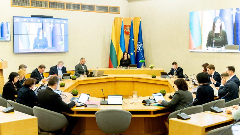 Stipri valstybė – ir atsparumu grėsmėms, ir socialine gerove: Vyriausybė teikia siūlymus Seimo sesijai