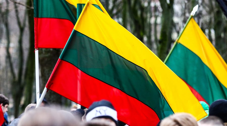 Kovo 11-oji ir socialinis atsparumas: kaip jį stiprinsime ateityje?