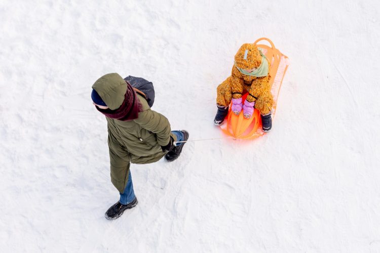Premjerė: demografijos problemos per ilgai atidėliotos Lietuvos ateities sąskaita