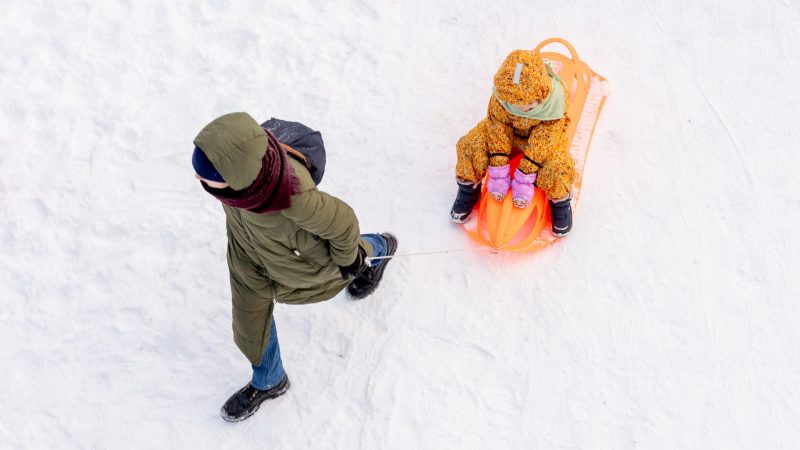 Premjerė: demografijos problemos per ilgai atidėliotos Lietuvos ateities sąskaita