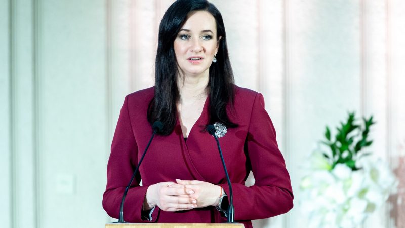 Premjerė įteikė Vyriausybės kultūros ir meno premijas