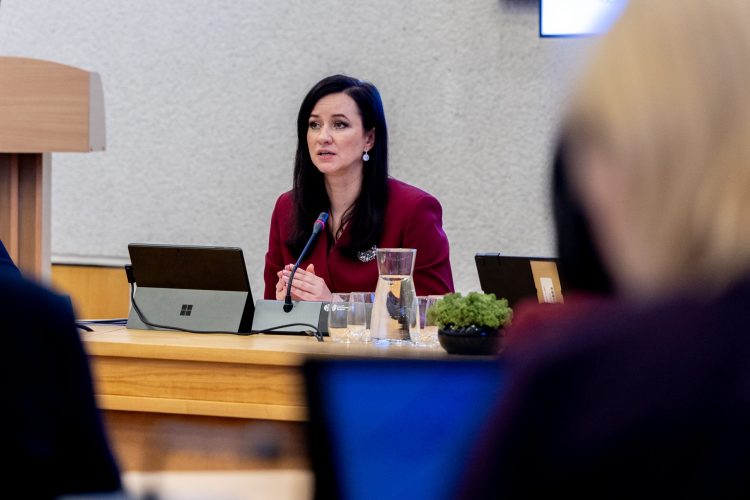 Premjerės susitikime su moterų NVO – dėmesys lyčių lygybės siekiui, Vyriausybės ir NVO partnerystei