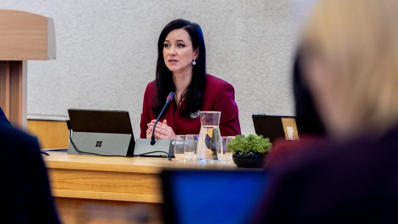 Premjerės susitikime su moterų NVO – dėmesys lyčių lygybės siekiui, Vyriausybės ir NVO partnerystei