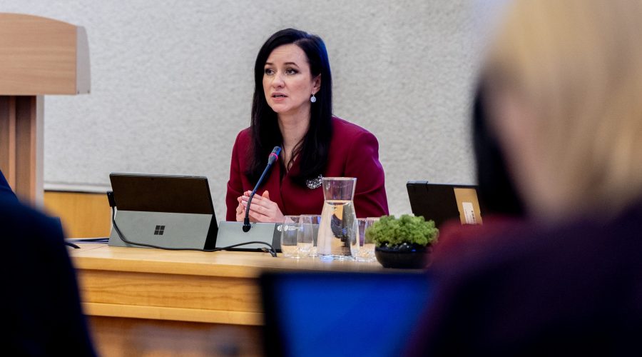 Premjerės susitikime su moterų NVO – dėmesys lyčių lygybės siekiui, Vyriausybės ir NVO partnerystei