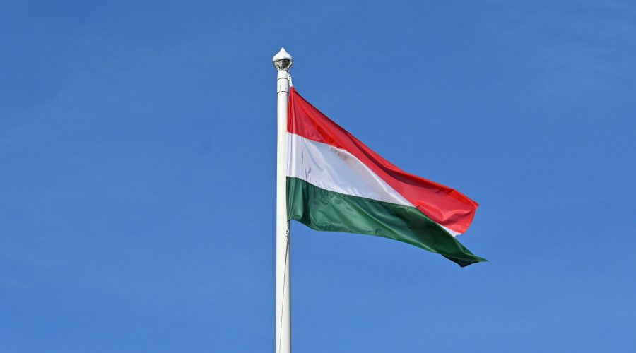 Premjerė pasveikino pareigas eiti pradėjusį Vengrijos Ministrą Pirmininką